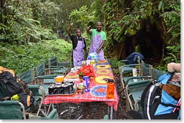 We drove a bit more through the banana forest and then started up the isolated Umbwe trail, everyone was surprised to find lunch waiting for us a short distance up the trail.