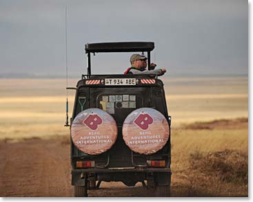 On safari 