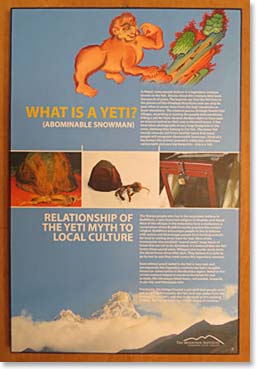  The Yeti