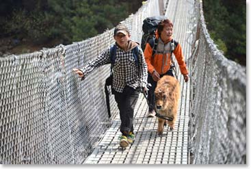 These boys were crossing the other way with a baby yak.