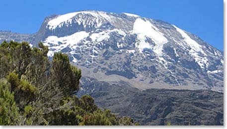 Kilimanjaro rose majestically before us as we climbed higher in the forest.