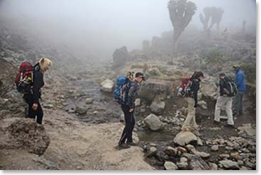 It was cloudy and rainy today.  We set out for our hike at 10:15.  Our goal; Arrow Glacier, at 16,000 feet.