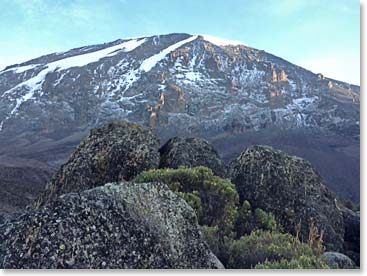 The glaciers of Kibo and the top of Kilimanjaro rose above us from Karanga in the clear morning sky.