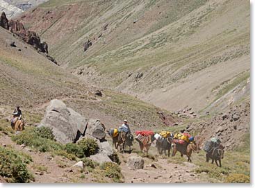 Our gear has been loaded up and sent with the mules to our first camp – Confluencia