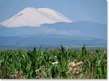 On the drive to the airport in Menralnye Vody this morning, Elbrus was majestic and beautiful in the distance as we drove away.