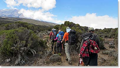 On the trail to Shira Camp, camp 2