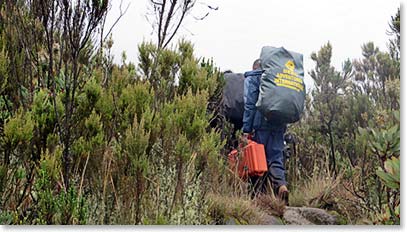 Hiking to Shira Plateau