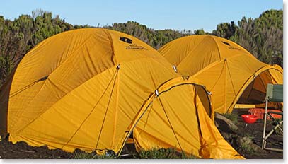 Shira Camp