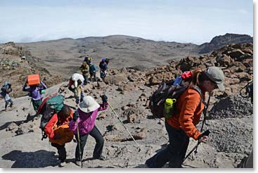Climbing from Karanga to High Camp