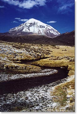 We begin our trek to Sajama base camp