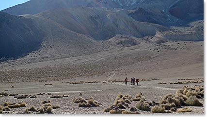 The trail to base camp
