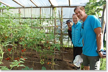 The greenhouse at Sunrise is producing some wonderful food!