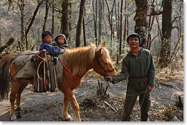 Father with his kids on a pony along the trail
