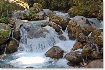 The streams are beautiful this time of year