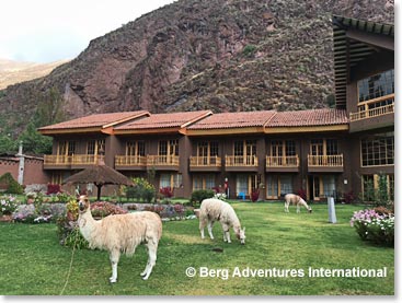 Arrived at our next lodge