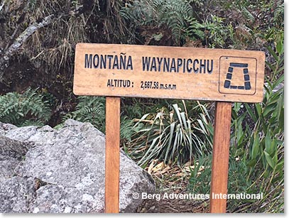 Wayna Picchu trailhead