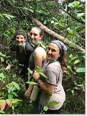 Another Chimp trek before we go…