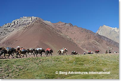Our mules passed us early in the day