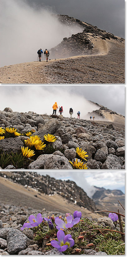 Climbing Guagua Pichincha