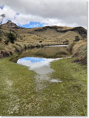 Fascinating landscapes throughout today's hike - Kim got this photo along the way