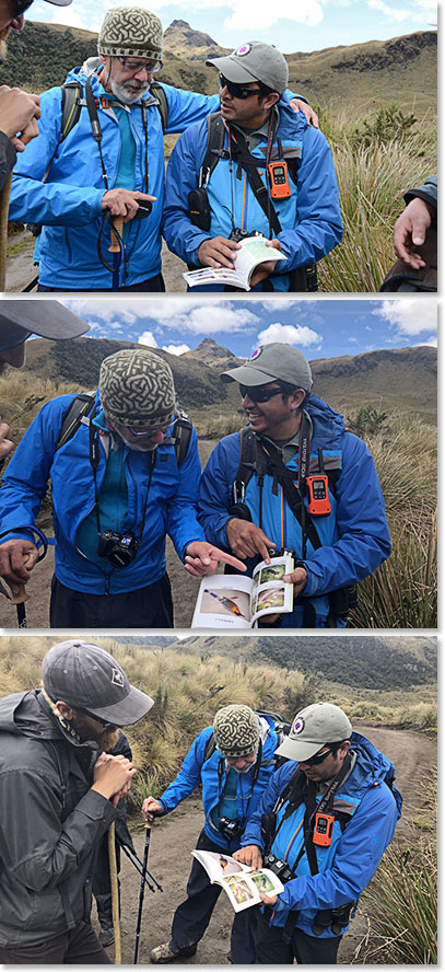 Henry and Joaquin checking the guidebook. We had it out all day identifying plants