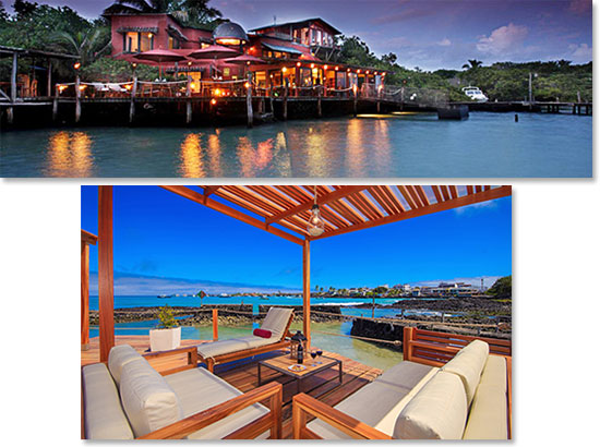 Our first night in Galapagos was at the Red Mangrove Hotel