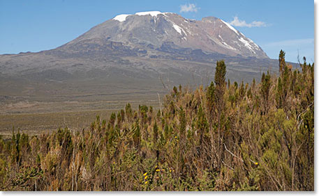 Approaching Shira Camp