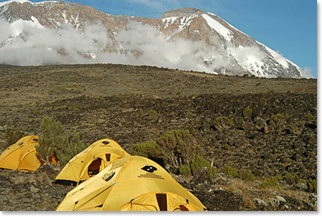 View of Kilimanjaro from our Shira Camp