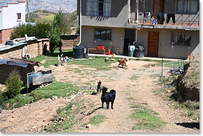 Local scenes