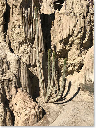 Valley of the Moon