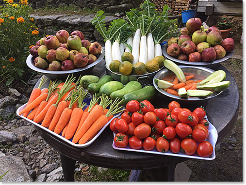 Beautiful vegetables along the way 